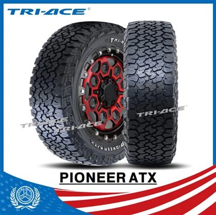 Txhua Lub Caij Tsheb