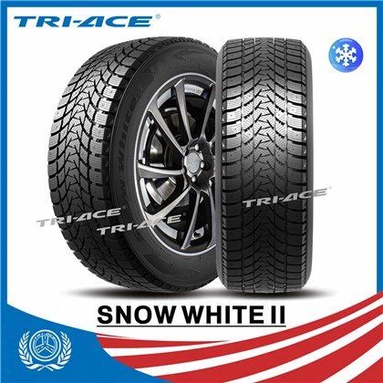 Lub caij ntuj no log tsheb